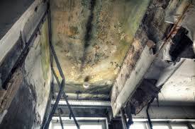 Best Mold Documentation for Insurance Claims  in Englewood, NJ